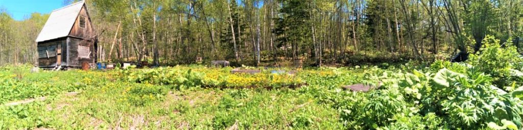 Продам участок: 13,72 сотоки в собственности, СНТ