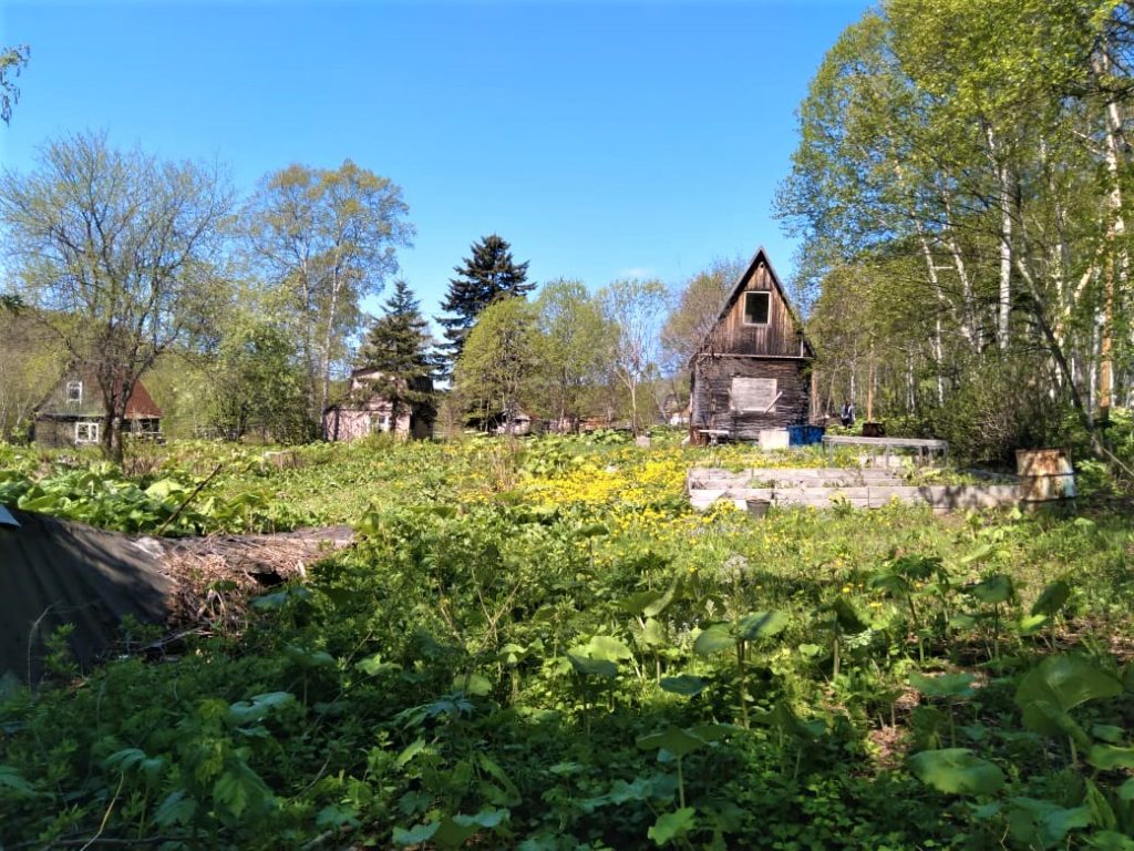 Продам участок: 13,72 сотоки в собственности, СНТ