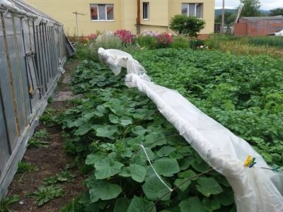 Продам дом, 5 комнат, 289 м², этажей: 2, участок: 13,5 сотки в собственности