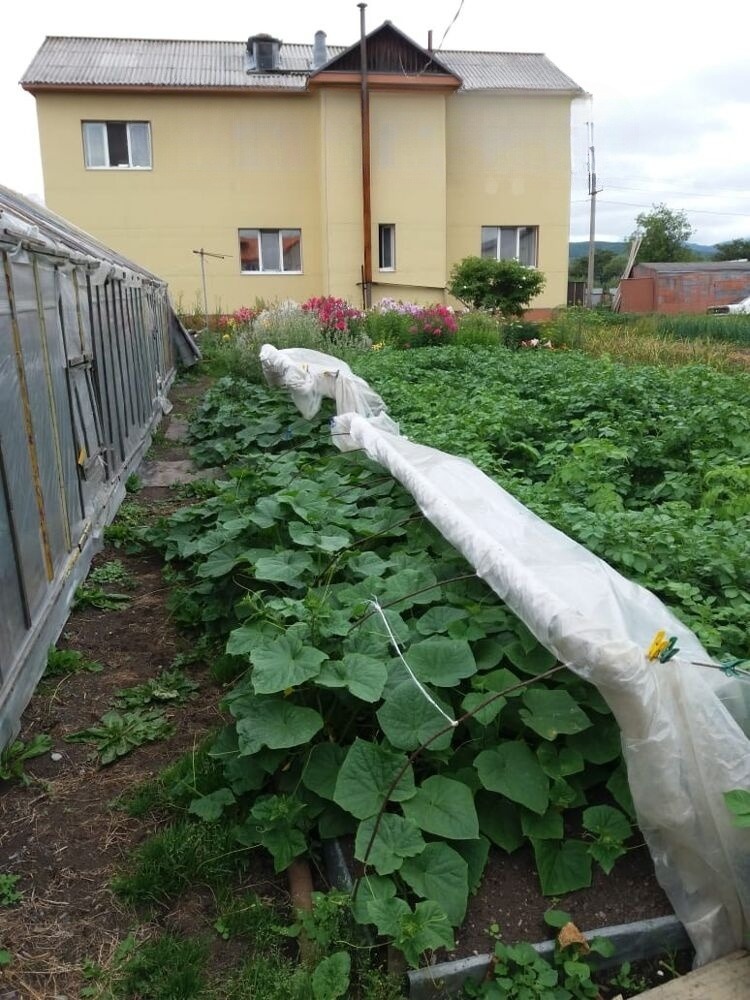 Продам дом, 5 комнат, 289 м², этажей: 2, участок: 13,5 сотки в собственности