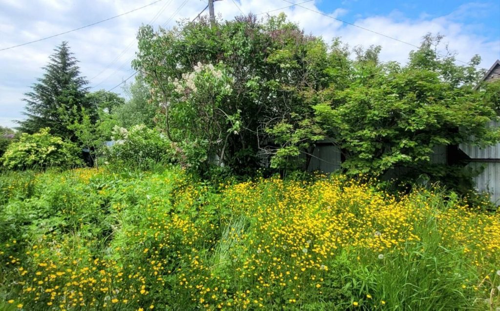 Продам дом, 2 комнаты, 44 м², этажей: 2, участок: 8,72 сотки в собственности