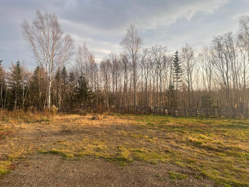 Продам дом с земельным участком