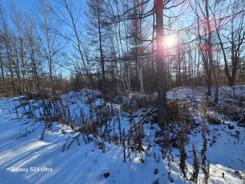 Участок в СНТ Изабелла