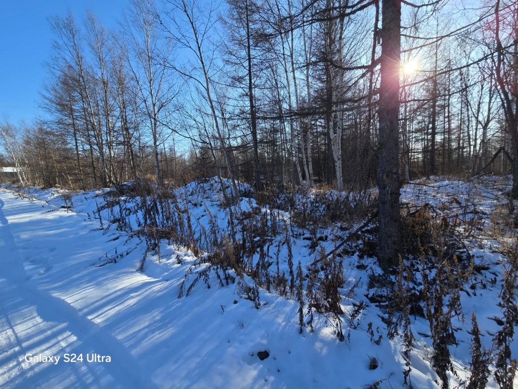 Участок в СНТ Изабелла
