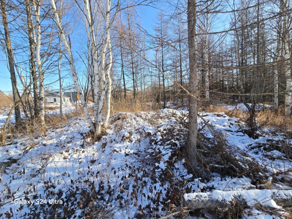 Участок в СНТ Изабелла