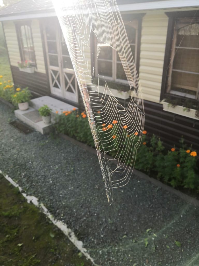 Дача в Южно-Сахалинске