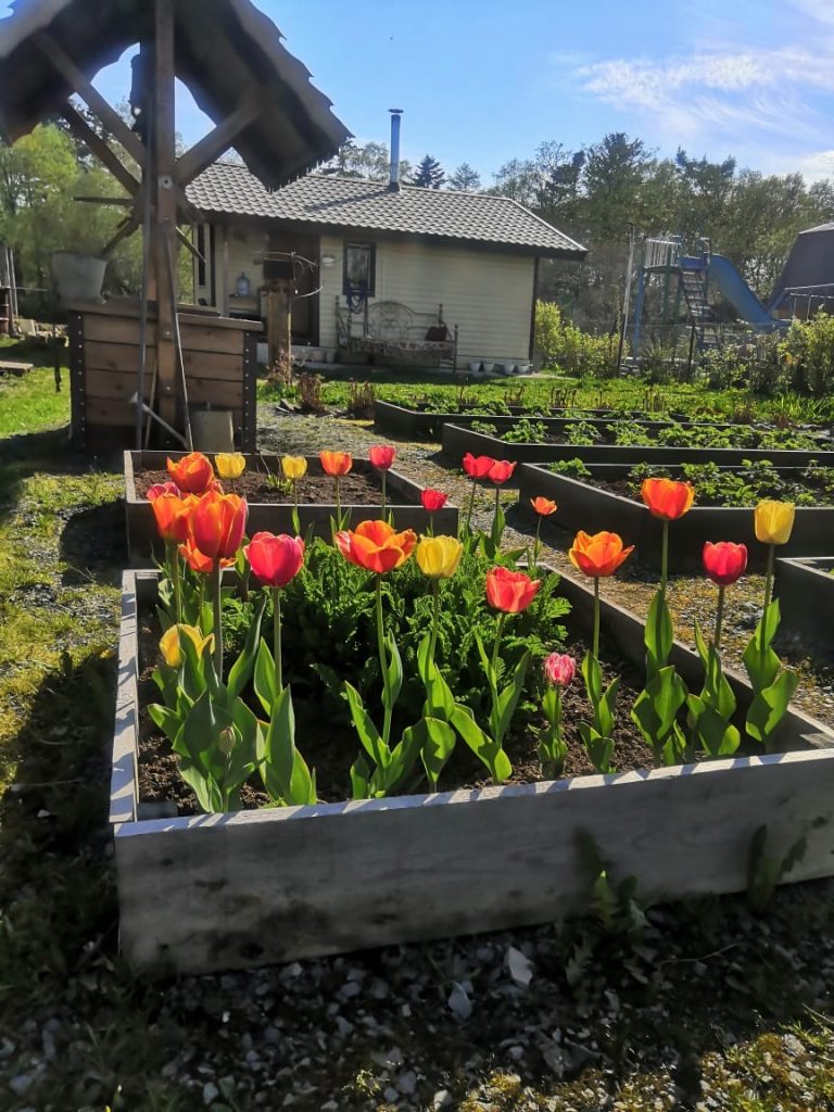 Дача в Южно-Сахалинске