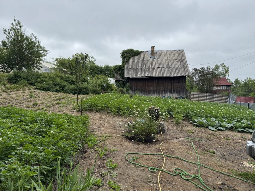 Участок с лесом