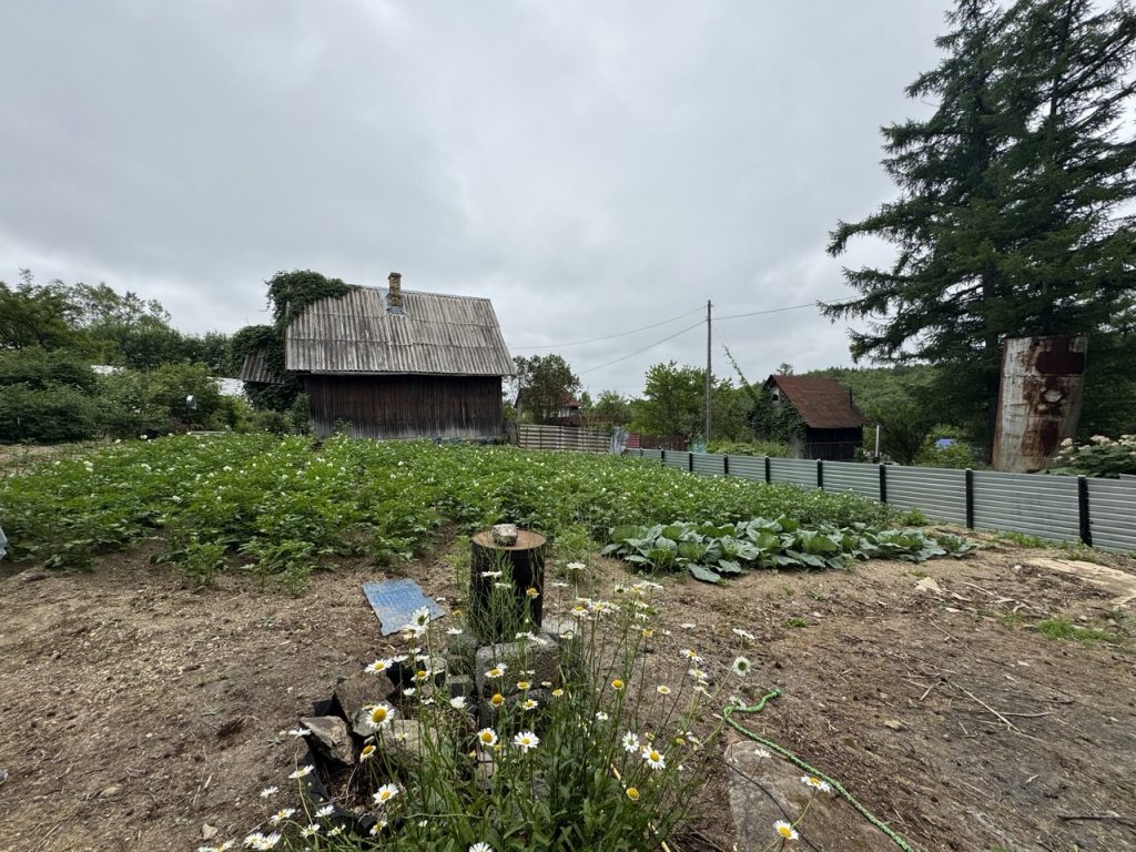 Участок с лесом