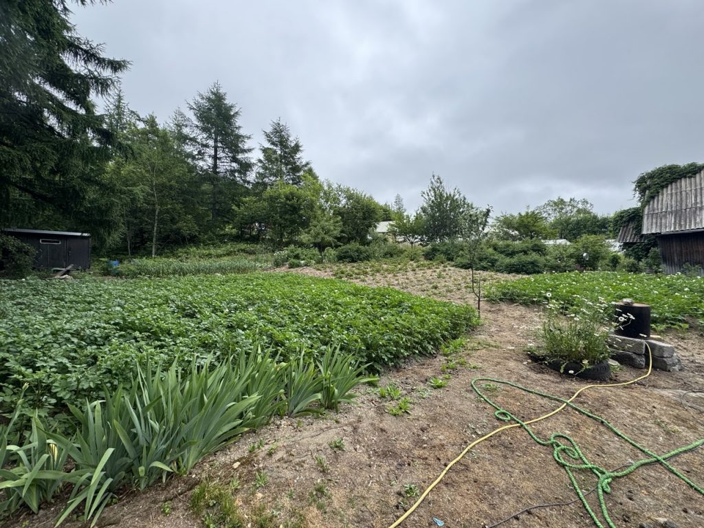 Участок с лесом